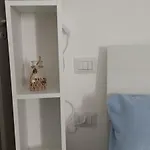 Rosa A E B 갈리폴리